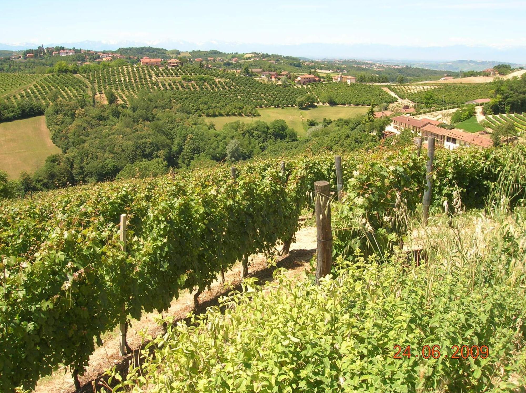 Diano dʼAlba Tenuta Calabiana المظهر الخارجي الصورة