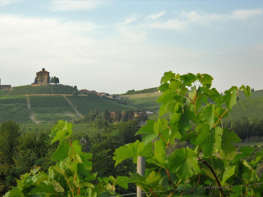 Diano dʼAlba Tenuta Calabiana الغرفة الصورة